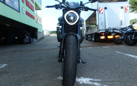 DUCATI MONSTAR 937 PLUS 2024
