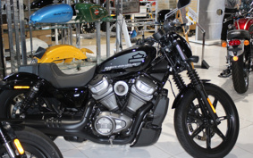 HARLEY  HARLEY RH975 NIGHT  STAR  2023 ZH1