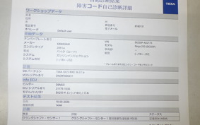KAWASAKI NINJA 250 2 2025 EX250P