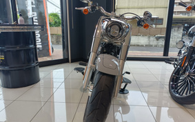 HARLEY  HARLEY FLFBS 2025 YGK