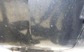 OTHER +ｽﾉｰﾓﾋﾞﾙ 2024