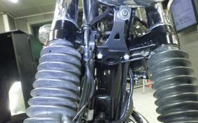 KAWASAKI W800 2023 EJ800E
