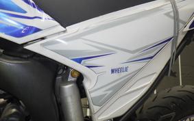 YAMAHA WR250X DG15J