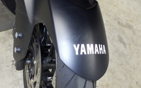 YAMAHA YZF-R15M