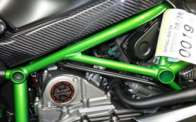 KAWASAKI NINJA H2 CARBON 2021 ZXT02J