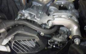 HONDA BENLY 50 2026 AA05