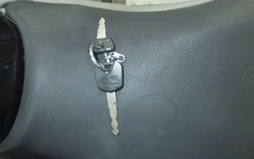 KAWASAKI NINJA 250R 2024 EX250K