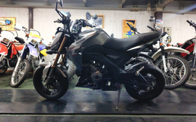 KAWASAKI Z125 PRO BR125H
