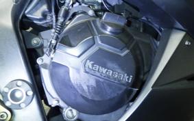 KAWASAKI NINJA 250 EX250L