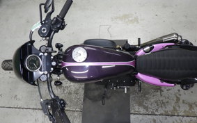 OTHER +HD. XL1200X 2010