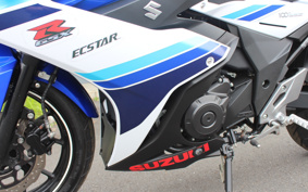 SUZUKI GSX250 R DN11A