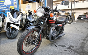 KAWASAKI W800 2014 EJ800A