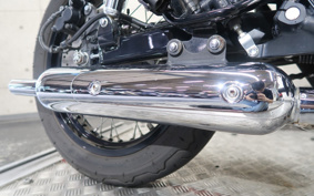 KAWASAKI W800 CAFE 2022 EJ800E