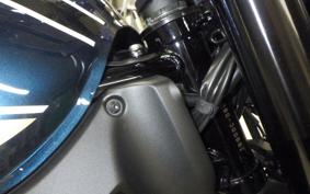 KAWASAKI Z900RS 2022 ZR900C