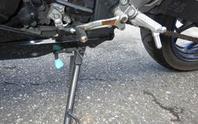 KAWASAKI NINJA 250 EX250L