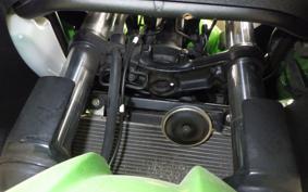 KAWASAKI NINJA 250 ABS EX250L