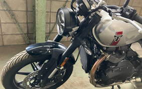 TRIUMPH SPEED TWIN 900 DP0G27