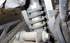 SUZUKI GOOSE 250 NJ46A