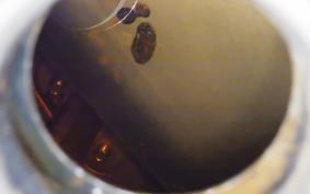 YAMAHA TZR250 RS 3XV