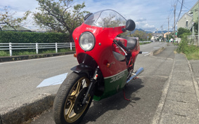 DUCATI  DUCATI 900MHR 1983 DM900R