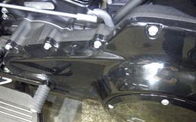 HARLEY FLTRXL1920 2026