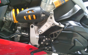 DUCATI 1299PANIGA-RES 2015 ZDMH905JAFB