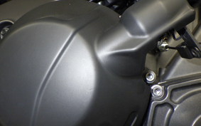 YAMAHA MT-09 2024 RN87J