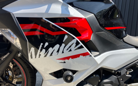 KAWASAKI NINJA 250 EX250P