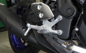 YAMAHA YZF-R25 2007 RG10J