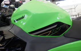 KAWASAKI NINJA 250 EX250P