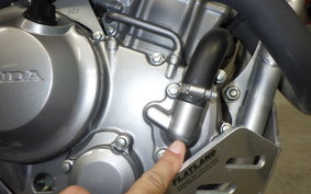 HONDA CRF250L MD44