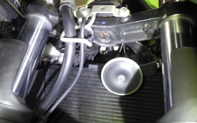 KAWASAKI NINJA 250 SL BX250A