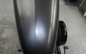 HARLEY XL883N 2021