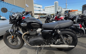 TRIUMPH TRIUMPH BONNEVILLE T100 2021 DAD70G