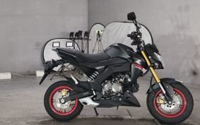 KAWASAKI Z125 PRO  BR125H
