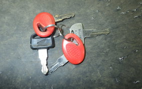 HONDA DIO CESTA 1981 AF34
