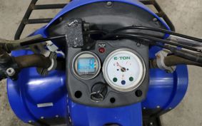 OTHER  BUGGY 50CC ..