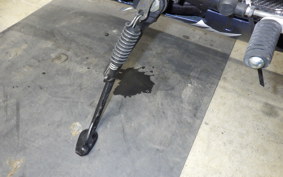 YAMAHA XJR1300 Gen.2 2009 RP17J