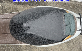 HONDA DIO CHESTER