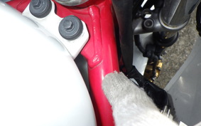 HONDA VTRF250 2023 MC33
