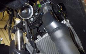 KAWASAKI NINJA 250 EX250P