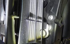 YAMAHA WR250X 2024 DG15J