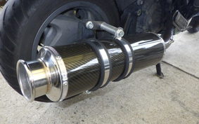 HONDA PS250 MF09