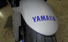 YAMAHA YZF-R3 2021 RH13J