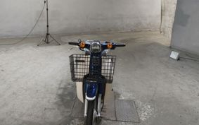 HONDA SUPER CUB110 JA44