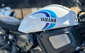 YAMAHA XSR700 2023 RM41J