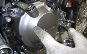 HONDA CRF250L 2008 MD47