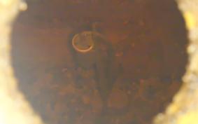 YAMAHA VMAX 1998 3UF