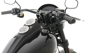 HARLEY FXLRS 2019 YWK