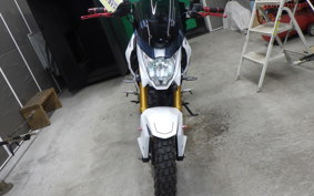 KAWASAKI Z125 PRO 2003 BR125H